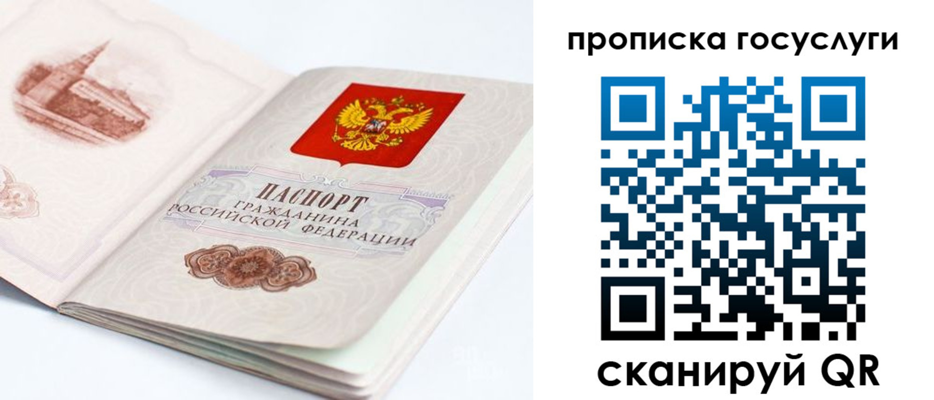 временная регистрация в Оленегорске